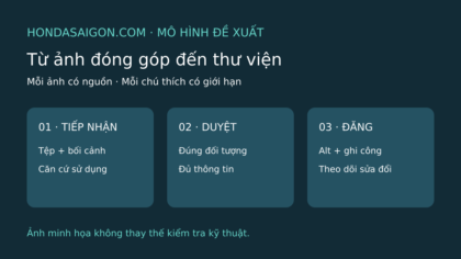 Quy trình thư viện ảnh đề xuất gồm tiếp nhận tệp và căn cứ sử dụng, duyệt đối tượng, đăng kèm alt và ghi công